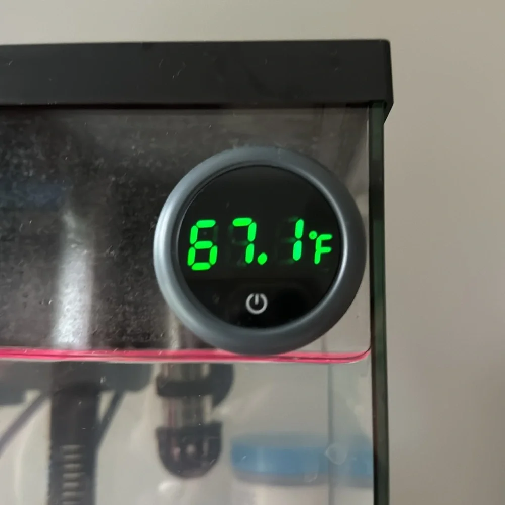 Fish tank w heater, filter, test strips, thermometer, and inside accessories.